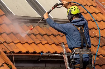 Démoussage et hydrofuge de toiture à Cressin-Rochefort